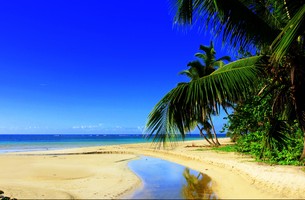 Copie de paysages plages
