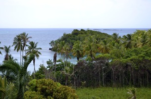  dsc0010
