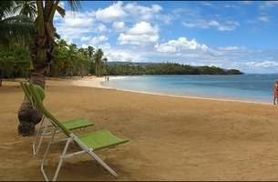 Playa ballenas