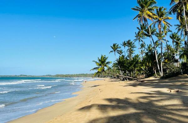 Lot in Cosón, Dominican Republic