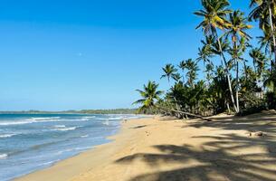 Lot in Cosón, Dominican Republic