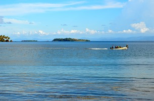 Dsc 0019