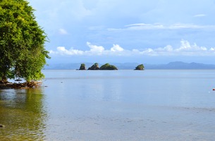 Dsc 0017