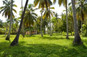 Lot in El Portillo, Dominican Republic