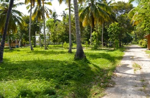 Lot in El Portillo, Dominican Republic