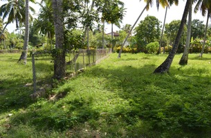 Lot in El Portillo, Dominican Republic