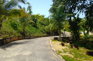 Lot in La Barbacoa, Dominican Republic