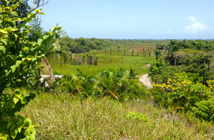 Lot in La Barbacoa, Dominican Republic