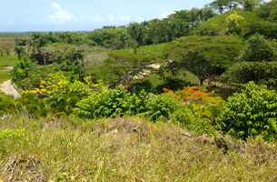 Lot in La Barbacoa, Dominican Republic
