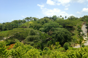 Lot in La Barbacoa, Dominican Republic