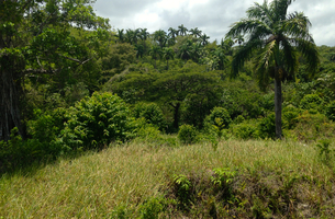 Lot in La Barbacoa, Dominican Republic