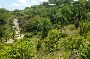 Lot in La Barbacoa, Dominican Republic