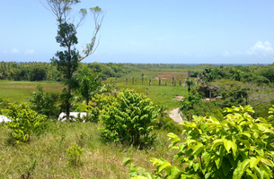 Lot in La Barbacoa, Dominican Republic