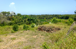 Lot in La Barbacoa, Dominican Republic