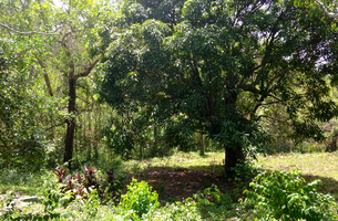 Lot in La Barbacoa, Dominican Republic