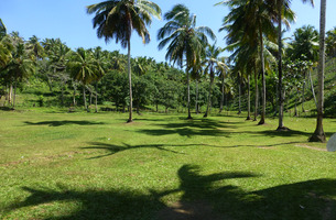 Lot in El Limón, Dominican Republic