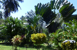 Lot in El Limón, Dominican Republic