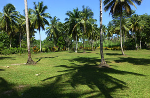 Lot in El Limón, Dominican Republic