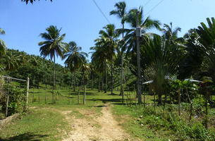 Lot in El Limón, Dominican Republic