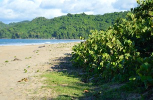Dsc 0081