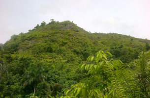 Lot in Las Terrenas, Dominican Republic