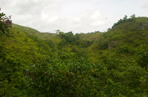 Lot in Las Terrenas, Dominican Republic