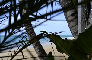  dsc0008