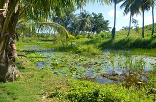 Community la barbacoa dominican republic real estate