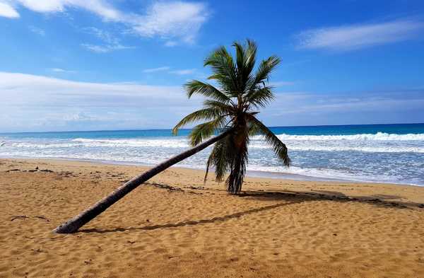 Lot in Cosón, Dominican Republic