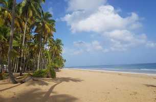 Lot in Cosón, Dominican Republic