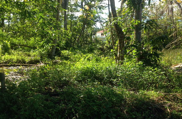 Lot in Playa Bonita, Dominican Republic