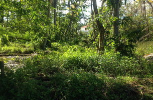 Lot in Playa Bonita, Dominican Republic