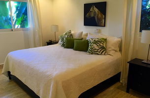 Condo in Playa Popy, Dominican Republic