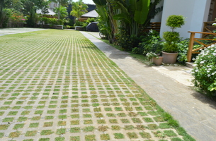 Condo in Playa Popy, Dominican Republic