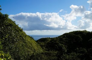 Lot in Las Terrenas, Dominican Republic