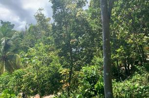 Lot in Cosón, Dominican Republic