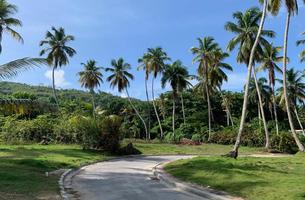 Lot in Cosón, Dominican Republic