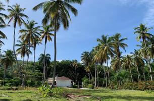 Lot in Cosón, Dominican Republic