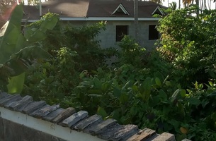 Lot in Cosón, Dominican Republic