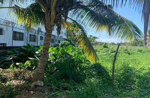 Lot in Las Terrenas, Dominican Republic