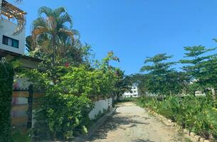 Lot in Las Terrenas, Dominican Republic