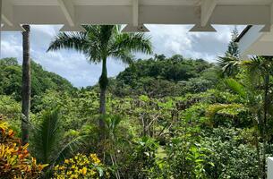House in Las Terrenas, Dominican Republic