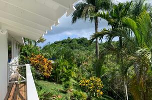 House in Las Terrenas, Dominican Republic