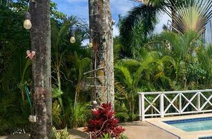 House in Las Terrenas, Dominican Republic