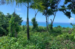 Lot in Cosón, Dominican Republic