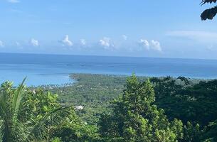 Lot in Cosón, Dominican Republic