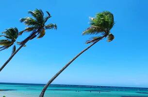 Condo in El Portillo, Dominican Republic