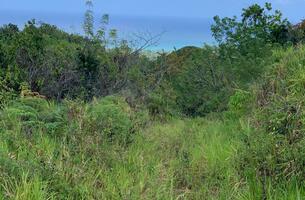 Lot in Cosón, Dominican Republic