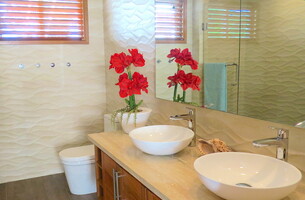 Condo in Cosón, Dominican Republic