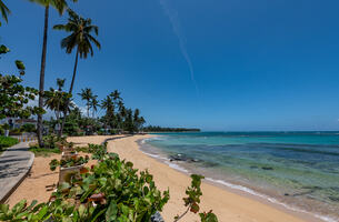 House in Las Terrenas, Dominican Republic